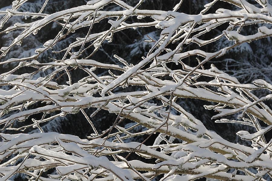 Winter im Taunus