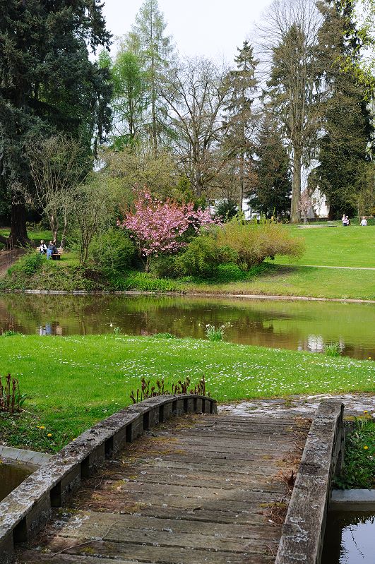 Blick in den Gail'schen Park