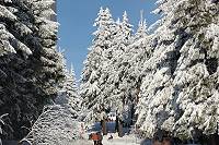 Winter auf dem Großen Feldberg