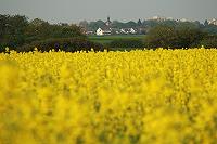 Blick auf Liederbach